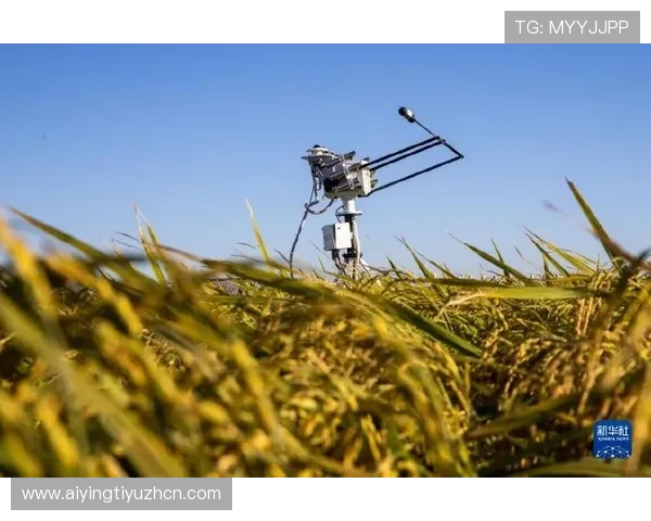开云体育网站入口多平台无缝切换,随时随地畅享精彩体育赛事内容 开云体育网站入口多平台无缝切换,随时随地畅享精彩体育赛事内容