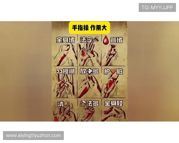 尊龙新版玩法规则新手指南,零基础玩家也能快速上手掌握核心玩法技巧 尊龙新版玩法规则新手指南,零基础玩家也能快速上手掌握核心玩法技巧