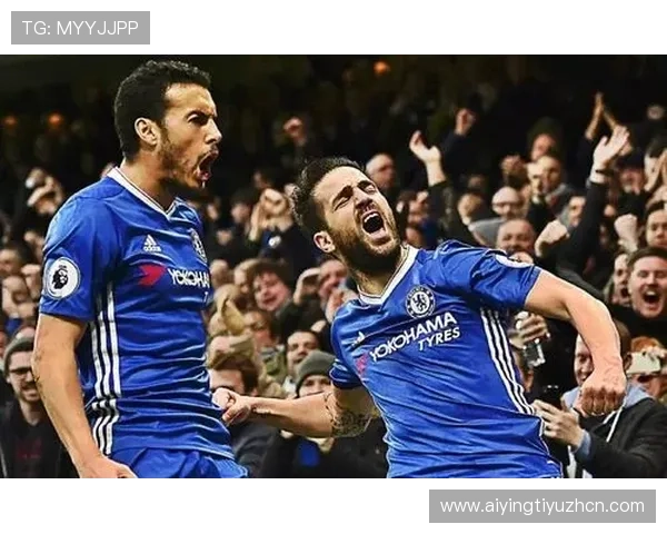 英亚体育赛事覆盖范围：涵盖足球篮球等多项热门体育项目