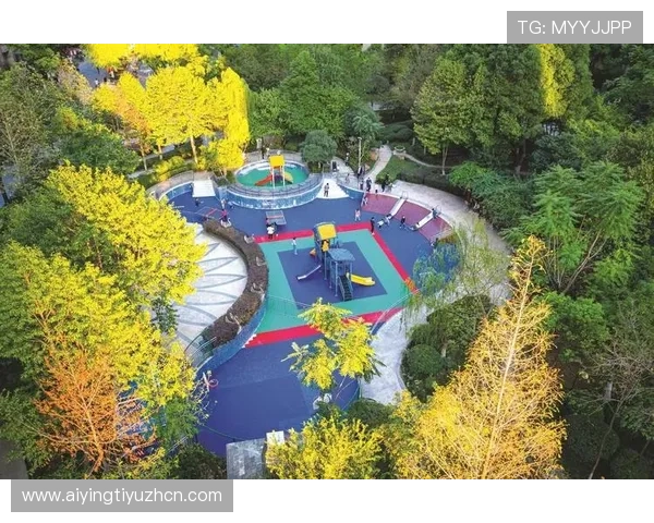 如何利用178体育手机版的社区功能与其他体育爱好者互动交流