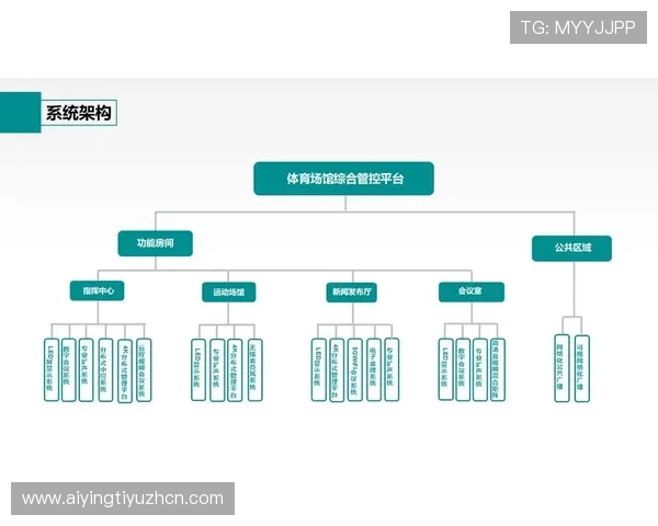 赛博体育：虚拟体育赛事中的数据分析与智能化管理解决方案